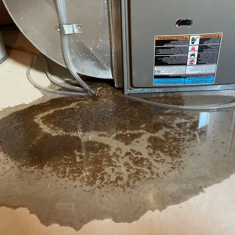 Pipe Burst and Leak Restoration in McPherson County, NE